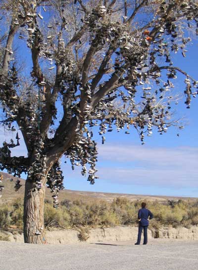 shoetree.jpg